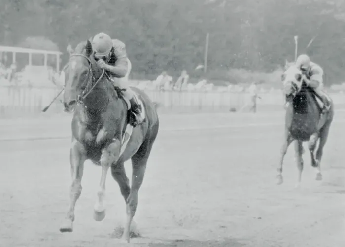 Framed Print : Alydar Running in the Lead Framed Print : Alydar Running in the Lead