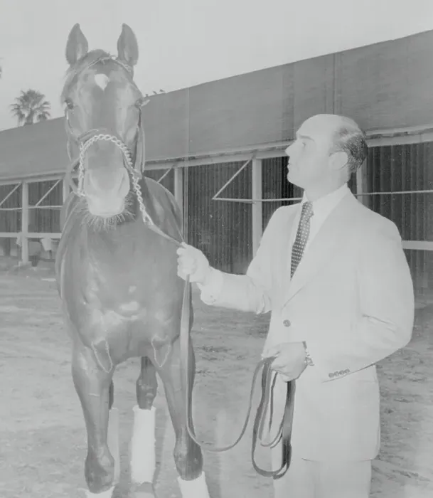 Framed Print : Alydar with Trainer John Veitch