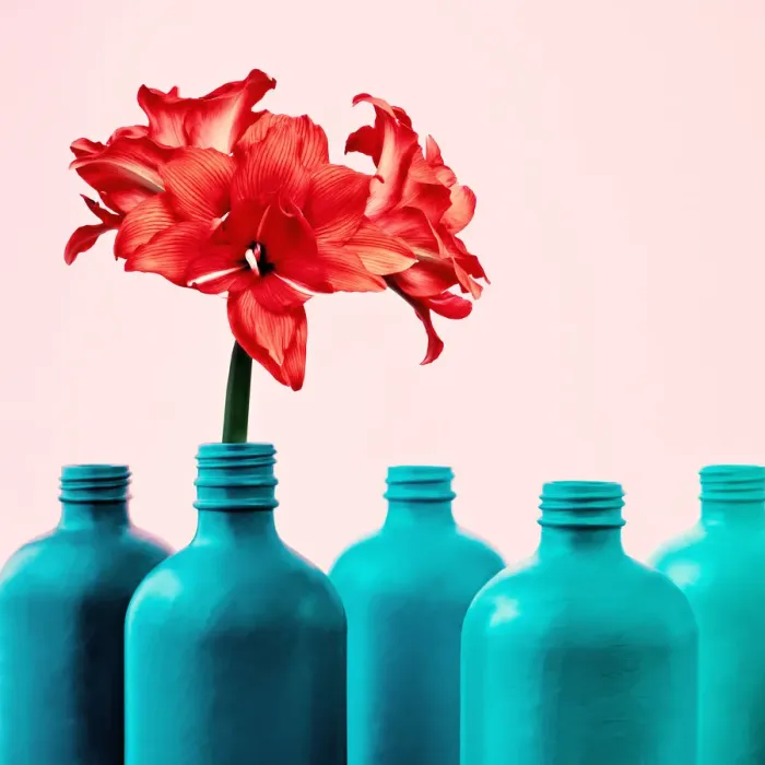 Framed Print : Amaryllis in painted bottle vase Framed Print : Amaryllis in painted bottle vase