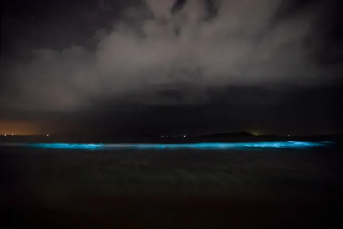 Framed Print : Amazing bioluminescence amidst the waves