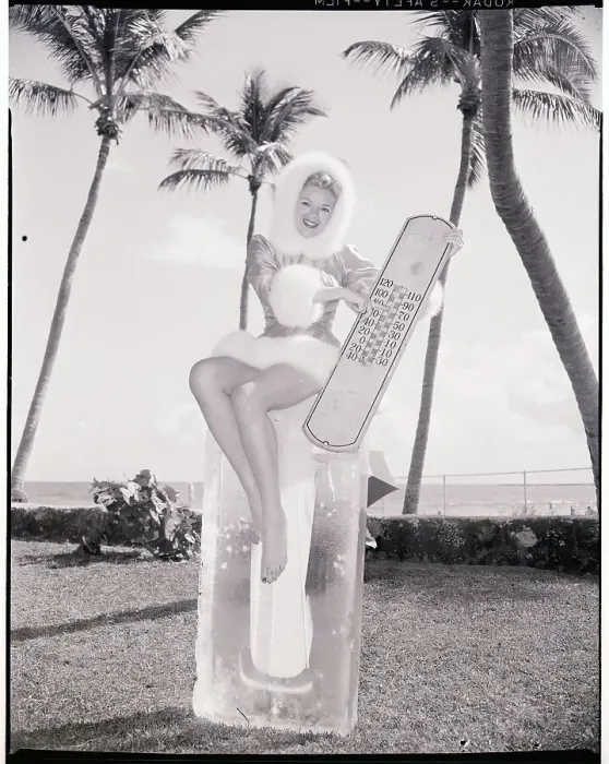 Framed Print : Ambassador of Miami Club Framed Print : Ambassador of Miami Club
