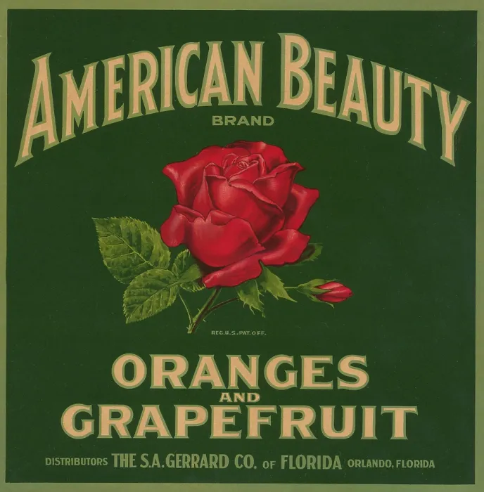 Framed Print : American Beauty Brand