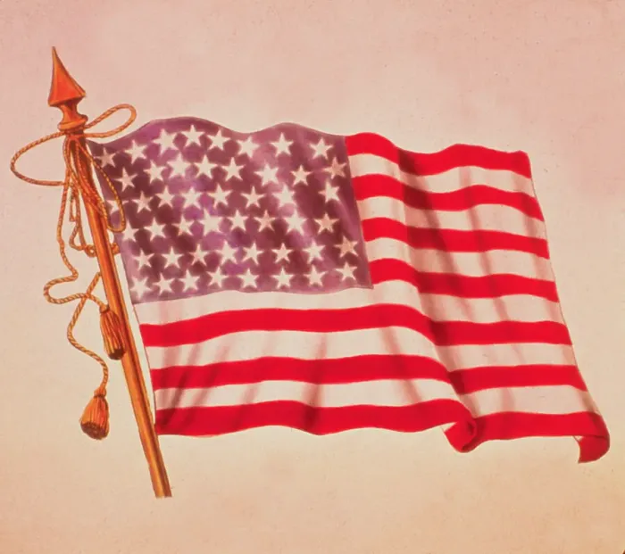 Framed Print : American Flag Illustration Framed Print : American Flag Illustration