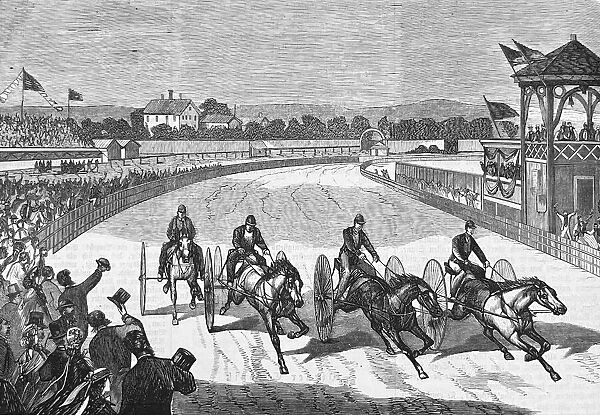 American horse race