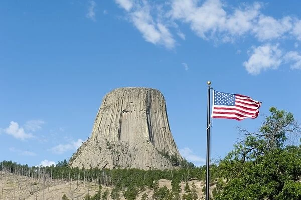 American national flag, monolith, phonolite volcanic rock, basalt, light forest of Ponderosa Pines -Pinus ponderosa-, Devils Tower National Monument, Wyoming, USA, United States of America, North America