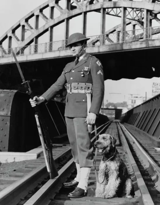 Framed Print : American Soldier & Sentry Dog Framed Print : American Soldier & Sentry Dog