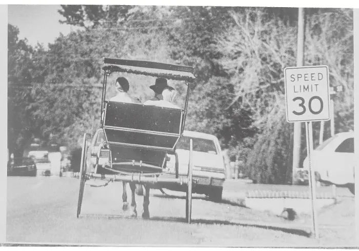 Framed Print : Amish Riding in Horse-Drawn Carriage Framed Print : Amish Riding in Horse-Drawn Carriage