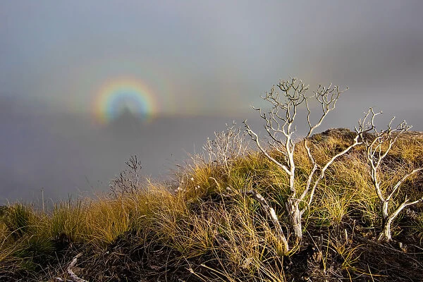 Amphitheater rainbow, Royal Natal National Park, KwaZulu-Natal, South Africa