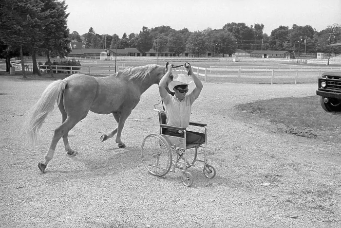 Framed Print : Amputee in Wheelchair Guiding Horse Framed Print : Amputee in Wheelchair Guiding Horse