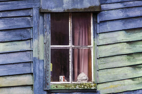 An Amsterdam Houseboat Window