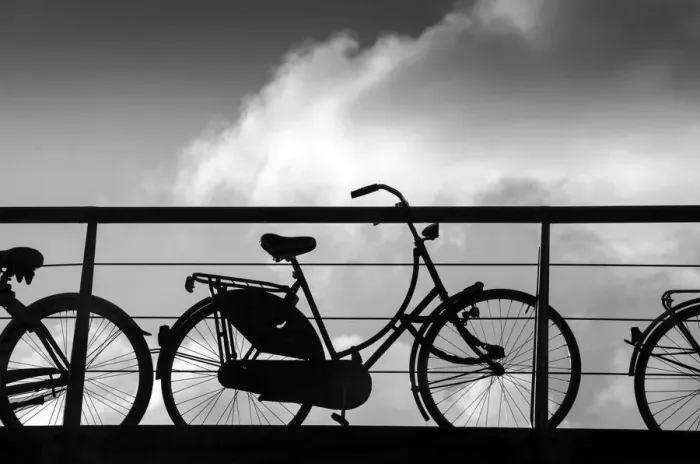 Framed Print : Amsterdams Bicycle Culture Framed Print : Amsterdams Bicycle Culture