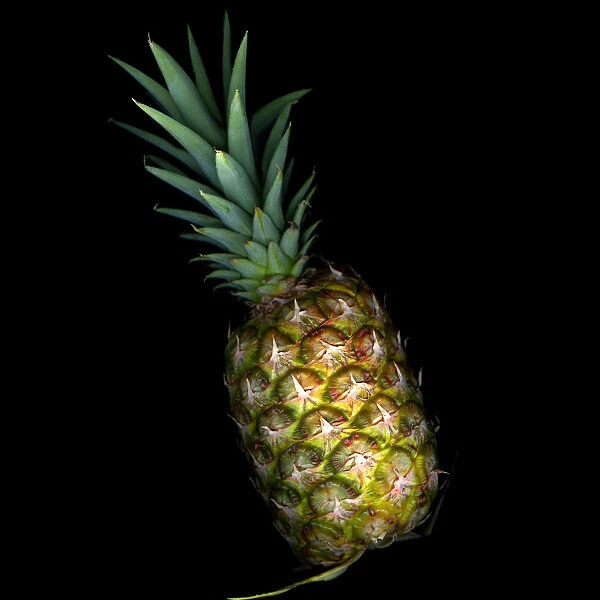 ANANAS. Pineapple on black background
