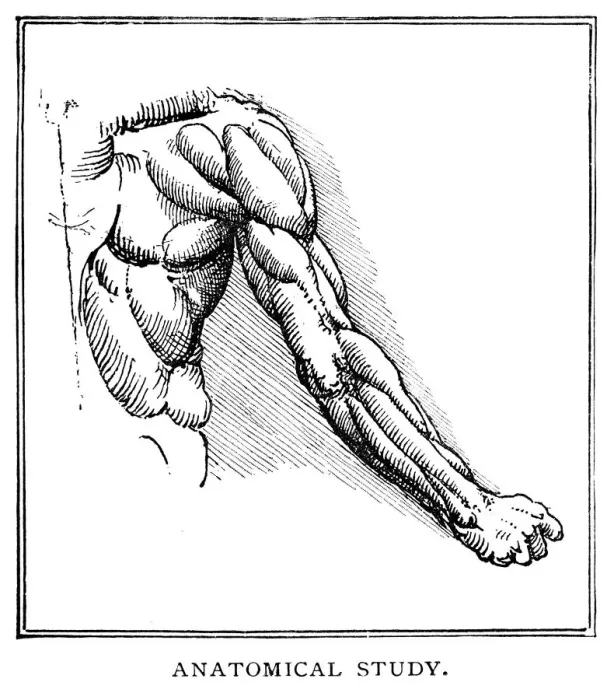 Framed Print : Anatomical study by Leonardo Da Vinci Framed Print : Anatomical study by Leonardo Da Vinci