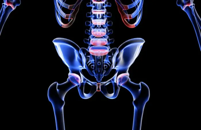 Framed Print : anatomy, back, back bone structure, back bones, back view, black background, bone Framed Print : anatomy, back, back bone structure, back bones, back view, black background, bone