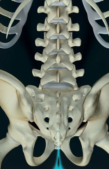 Framed Print : anatomy, back, back bone structure, back bones, back view, below view, black background Framed Print : anatomy, back, back bone structure, back bones, back view, below view, black background
