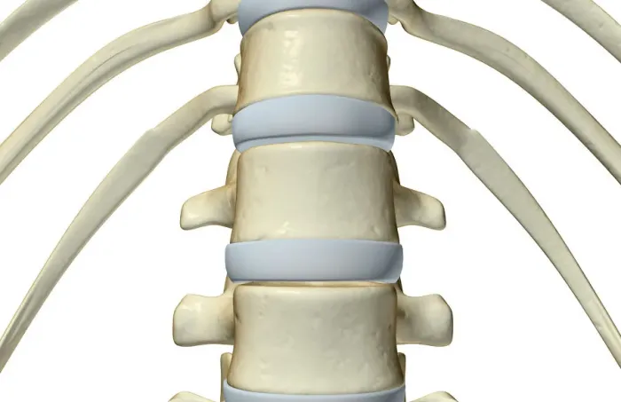 Framed Print : anatomy, bone, bone structure, bone structure of the vertebral column, bones, bones Framed Print : anatomy, bone, bone structure, bone structure of the vertebral column, bones, bones