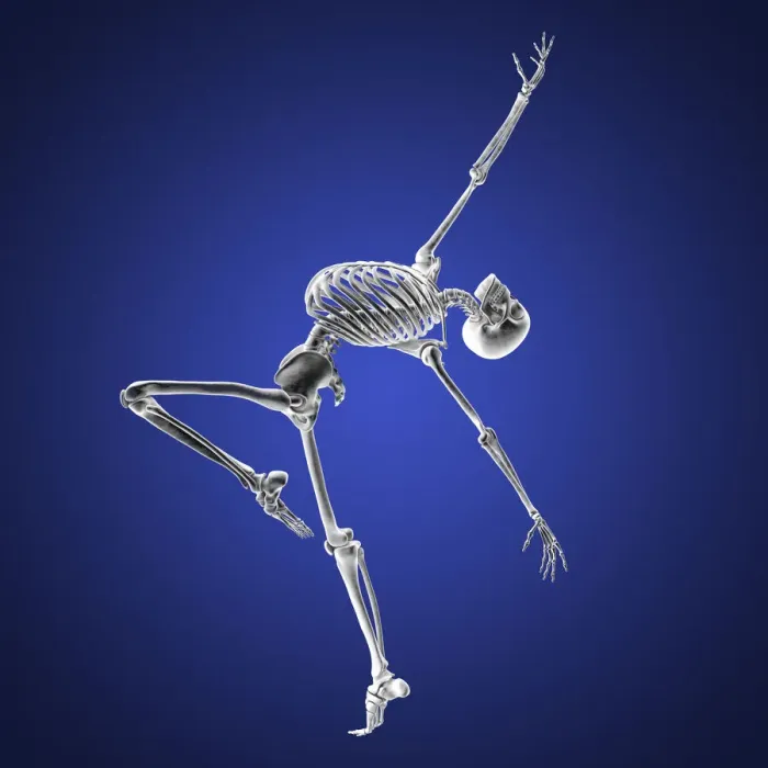 Framed Print : Anatomy of a dancer, illustration Framed Print : Anatomy of a dancer, illustration