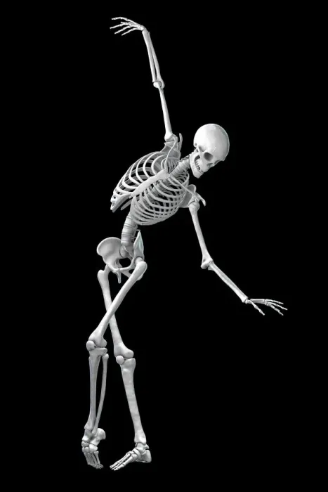 Framed Print : Anatomy of a dancer, illustration