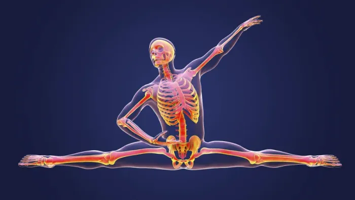 Framed Print : Anatomy of a dancer, illustration Framed Print : Anatomy of a dancer, illustration