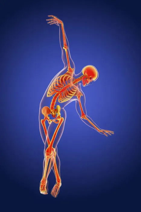 Framed Print : Anatomy of a dancer, illustration Framed Print : Anatomy of a dancer, illustration