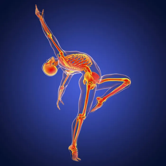 Framed Print : Anatomy of a dancer, illustration Framed Print : Anatomy of a dancer, illustration