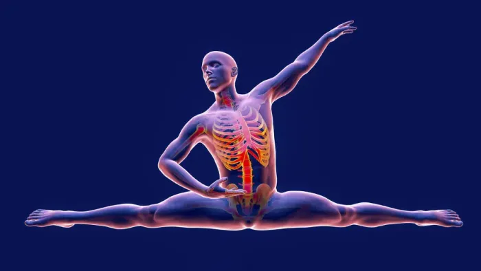 Framed Print : Anatomy of a dancer, illustration