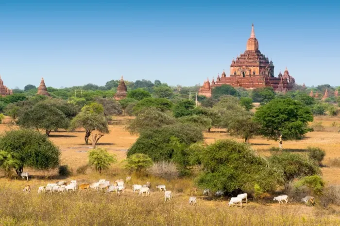 Framed Print : The Ancient City of Bagan, Myanmar Framed Print : The Ancient City of Bagan, Myanmar