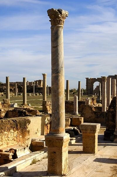 Ancient column with Corinthian capital, Leptis Magna, Libya
