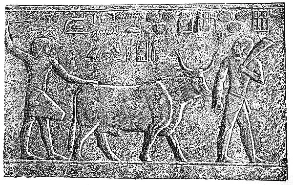 Ancient Egypt agriculture