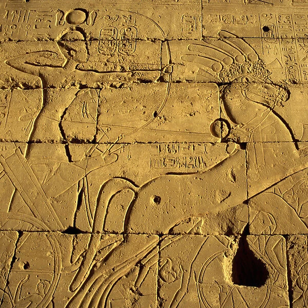 Ancient Egyptian carving, Ramesseum Temple, Luxor