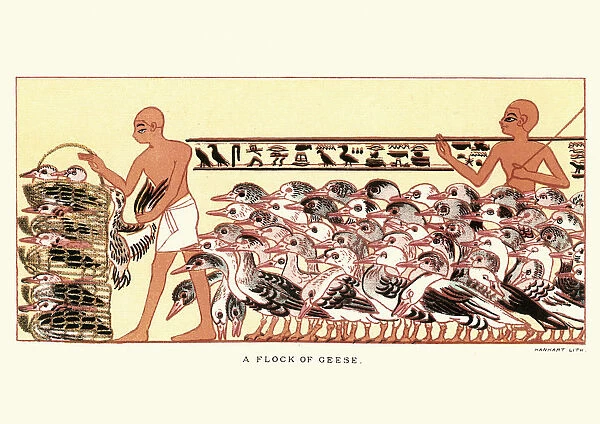 Ancient egyptian farmers herding a flock of geese