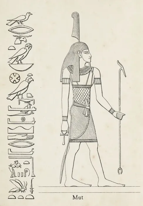 Framed Print : Ancient egyptian hieroglyph of mother goddess Mut Framed Print : Ancient egyptian hieroglyph of mother goddess Mut