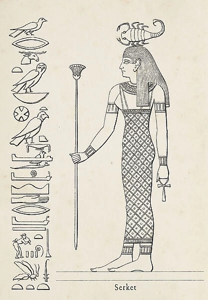 Ancient egyptian hieroglyph of Serket goddess of fertility