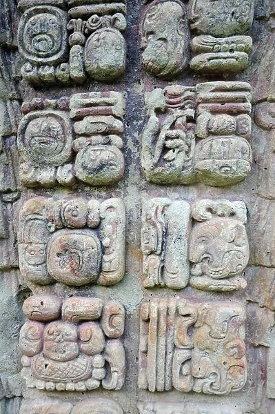 Ancient Mayan Sculpted Stone Glyphs, Copan