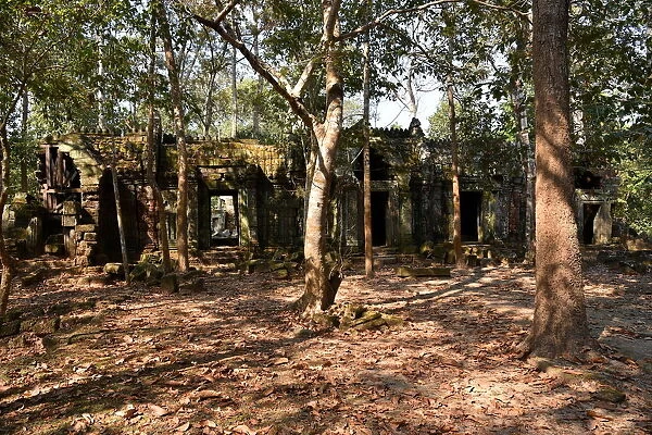 Angkor Ta Nei temple Cambodia