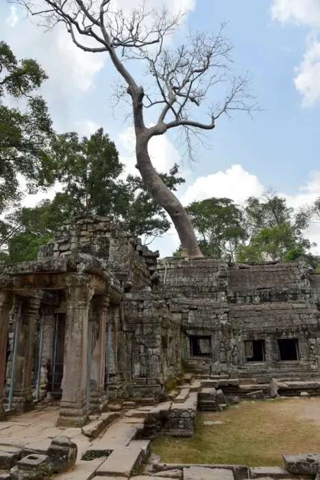 Framed Print : Angkor temple Siem Reap Cambodia Framed Print : Angkor temple Siem Reap Cambodia