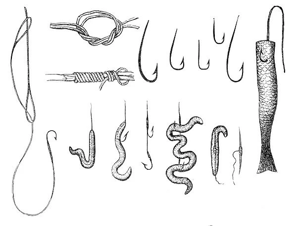 Angling. Illustration of a fishing hooks and baits