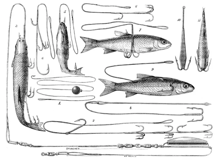 Framed Print : Angling engraving 1878 Framed Print : Angling engraving 1878