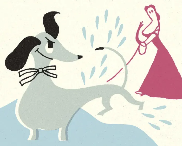 Framed Print : Angry Dog Splashing Water on Woman Framed Print : Angry Dog Splashing Water on Woman