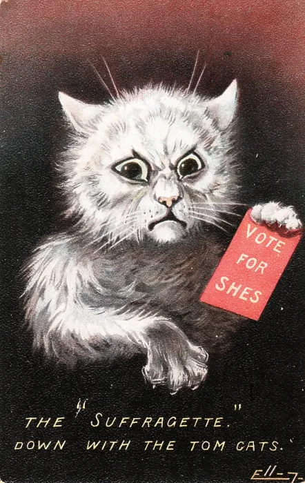 Framed Print : Angry Suffragist Cat Framed Print : Angry Suffragist Cat