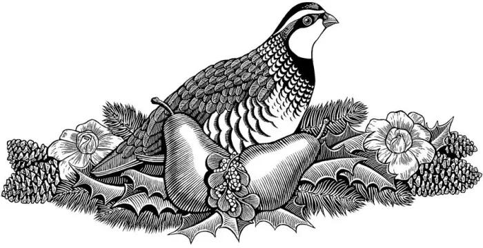 Framed Print : animal, bird, black and white, christmas, evergreen, flower, fruit, horizontal Framed Print : animal, bird, black and white, christmas, evergreen, flower, fruit, horizontal