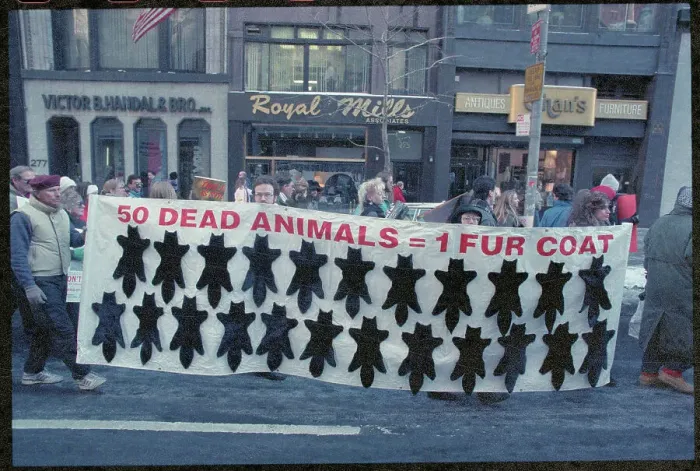 Framed Print : Animal Rights Activists Protesting with Sign Framed Print : Animal Rights Activists Protesting with Sign