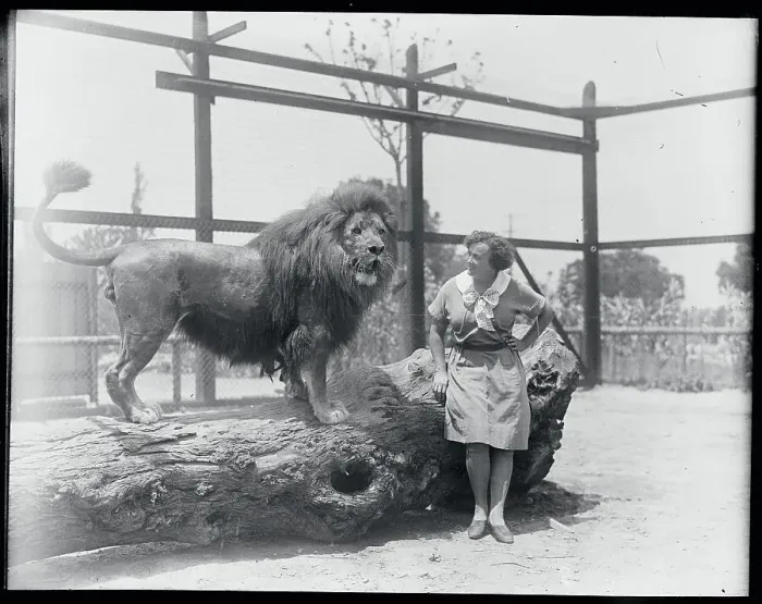 Framed Print : Animal Trainer Posing Next to a Lion Framed Print : Animal Trainer Posing Next to a Lion