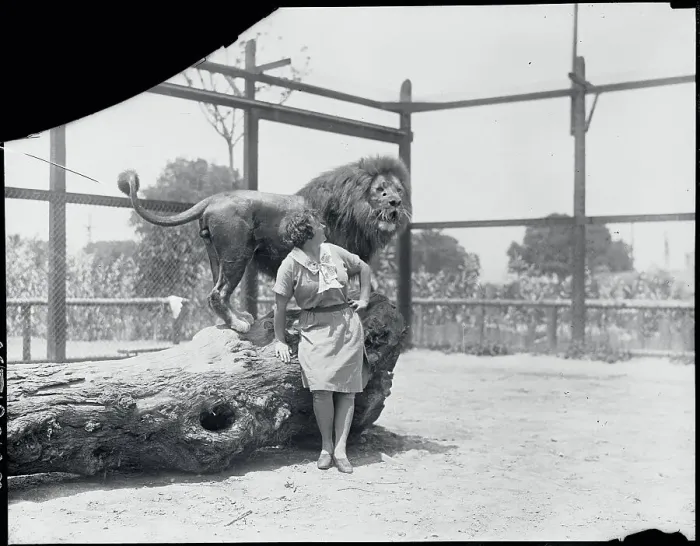 Framed Print : Animal Trainer Posing Next to a Lion