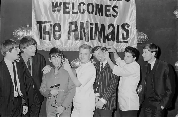 Framed Print : The Animals Framed Print : The Animals