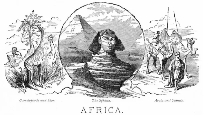 Framed Print : Animals from Africa engraving 1898