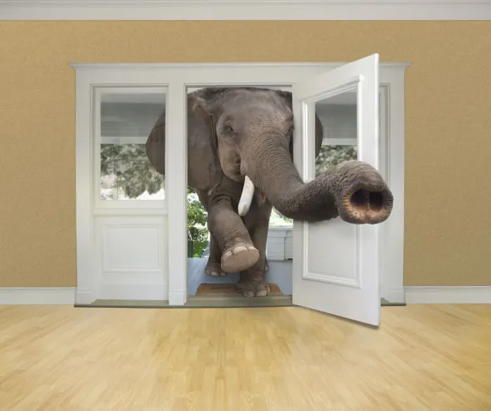 Framed Print : animals, avoidance, avoiding, color image, computer graphic, concept, copy space Framed Print : animals, avoidance, avoiding, color image, computer graphic, concept, copy space