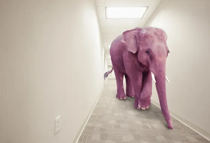 Framed Print : animals, avoidance, bizarre, california, color image, concept, copy space, corridor Framed Print : animals, avoidance, bizarre, california, color image, concept, copy space, corridor