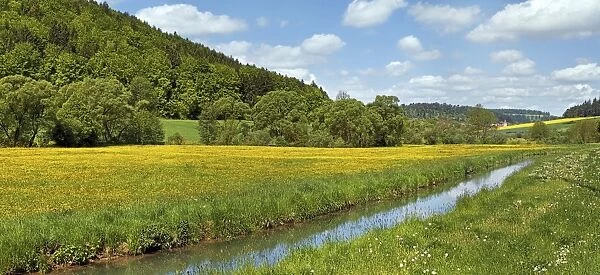 The Anlauter river in Anlautertal valley with flower meadows, Ritter- und Romerweg, trail of the Knights and the Romans near Altdorf, Titting, Altmuhltal Nature Park, Bavaria, Germany