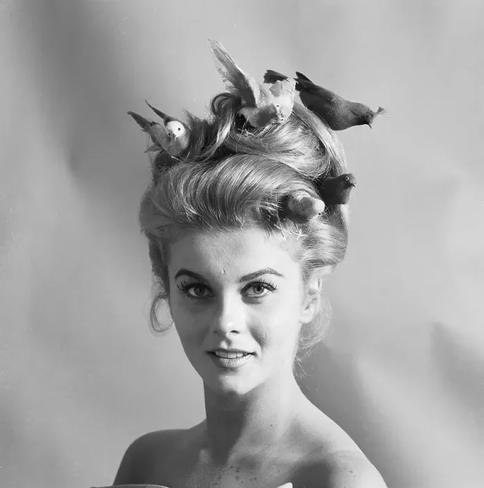 Framed Print : Ann-Margret with Birdie Hairdo Framed Print : Ann-Margret with Birdie Hairdo